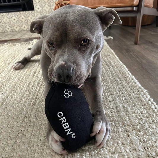 Crbnᴷ⁹ Squeak Dog Toy
