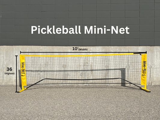 Quick start Mini Pickleball & Badminton Net - Oval Poles